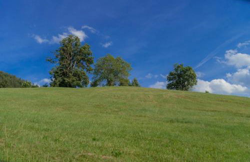 Ferienwohnung Stark - Foto 11