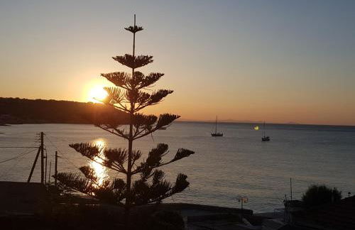 Sunrise Flora - Foto 7