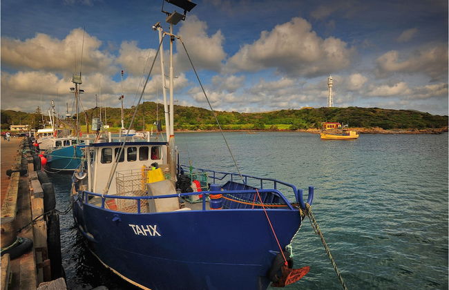 King Island Accommodation Cottages - Photo 39