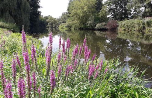 Apartment zum Spaal by Interhome - Foto 22