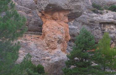 Mas de Nofre - Foto 52