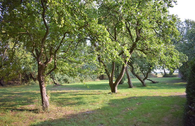 Ferienhaus Ole Hof - Foto 23