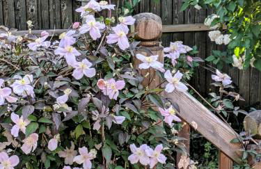 SAGE HOUSE - Tranquil sanctuary in the heart of Glastonbury - Photo 31