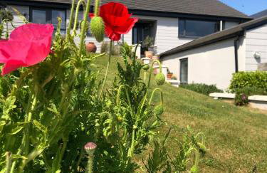 Ocean Drive BOUTIQUE Apartment Adults only Dog friendly - Foto 16