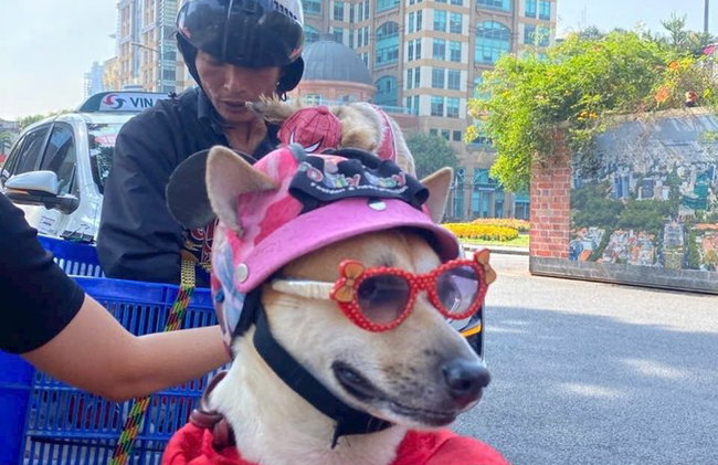 Ho Chi Minh City Iconic & Local Hidden gems by Scooter - Photo 18