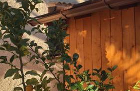 Villa Los Pinos 8F - Photo 38