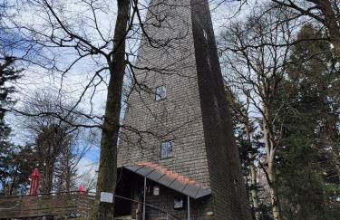 Ferienwohnung 37 Sonnenwald - Foto 44