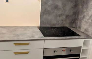 Charmant T2 tout neuf avec Parking - Foto 7