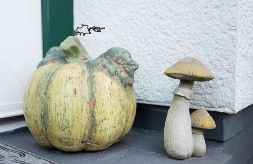 Ferienwohnung Auszeit mit Waldgeflüster 35231 - Foto 6