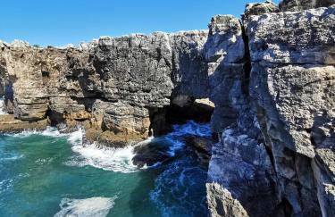 Casa Picamilho - Foto 15