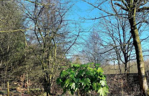 The Coach House- Canonbie - Foto 41