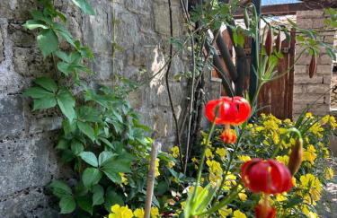 Πατρικό ολόκληρος ξενώνας entire stone guesthouse - Foto 34