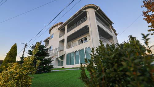 White Guest - Photo 2