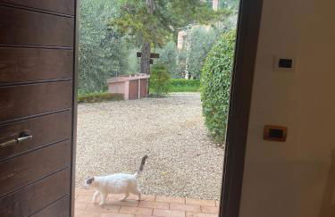 Agriturismo La Pila - Photo 35