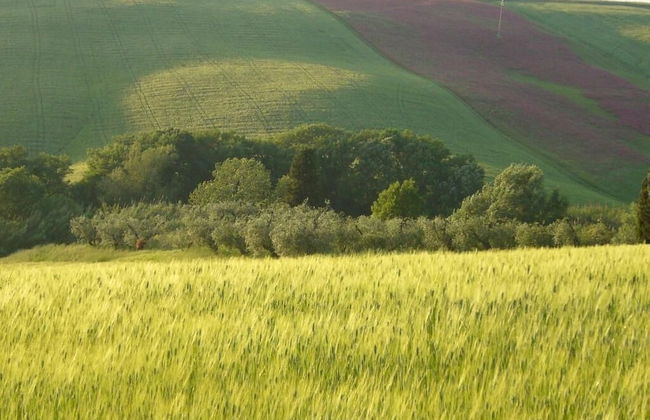 Agriturismo Fossederi - Foto 38
