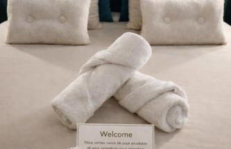 Nancy Vieille Ville Stanislas - Foto 3