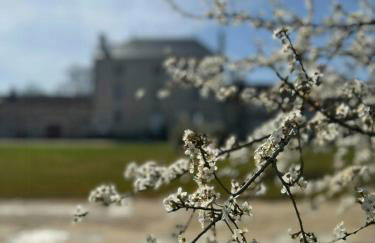 Peaceful Cottage Near Saint-Savin Abbey - Foto 9