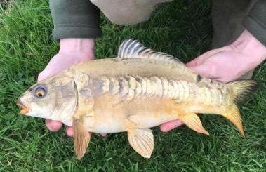 Couple’s Lodge With Hot Tub - Foto 48