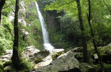 El Molín de La Vega Agroturismo - Foto 19