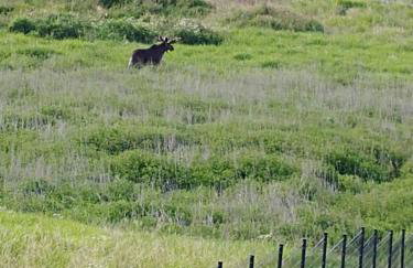 Dwa Wiatry - Foto 25