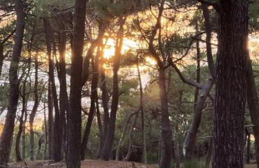 Euronat naturist studio - Foto 12