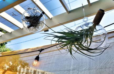 UT Moody Center Downtown Eco Pecan Tree House Free Wifi Parking Quiet Office - Foto 37