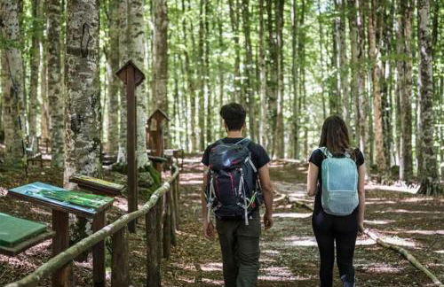 Casa del castorino - Foto 76