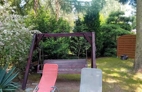 Black & White - Honey - Photo 17