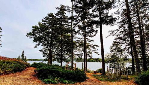 The Lodge at Seaside in Friendship - Foto 3