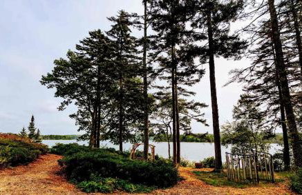 The Lodge at Seaside in Friendship - Foto 3