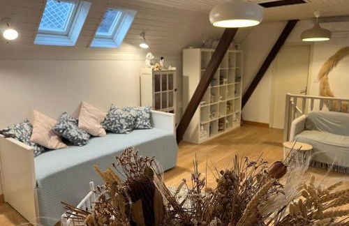 Dans Maison privée Appartement de charme, 70m2 avec pergola Et jardin à 15min centre de Strasbourg Chez Regine - Foto 39