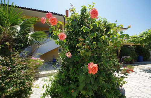 Apartman Marija - Photo 24