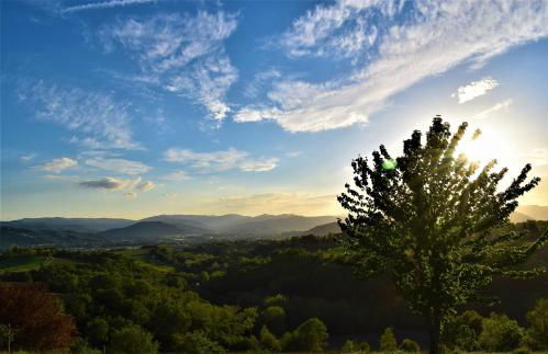 "Villa Bizzi" - Photo 72