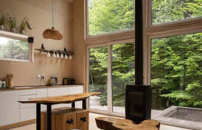 Schody do wody Domek z linią brzegową Kaszuby sauna goraca balia - Foto 13