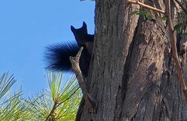 Marine Bliss - Foto 30