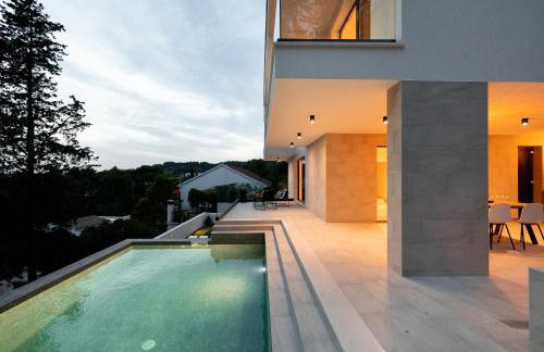 My seagull - Photo 62