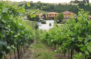Agriturismo Gaggioli Borgo Delle Vigne - Foto 86