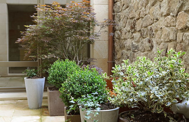 Artesa Suites & Spa - Foto 33