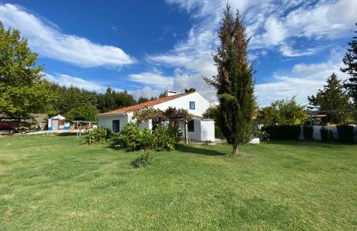 Quinta Alfaval - Foto 55