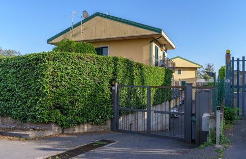 Little Rose garden - Foto 30