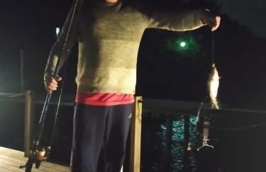 Casasnaturezamar - Foto 9