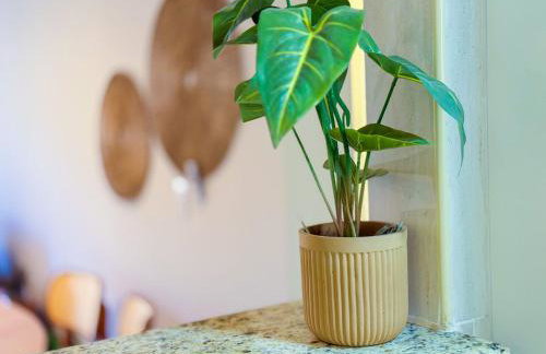 Belíssimo Ap na Praça - Wi-fi e Piscina - Foto 25