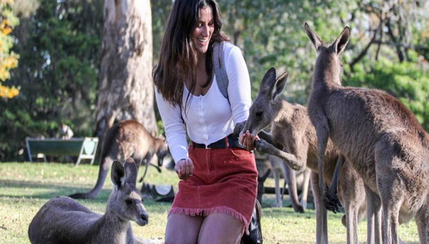 Santuario dei koala di Lone Pine - Foto 4