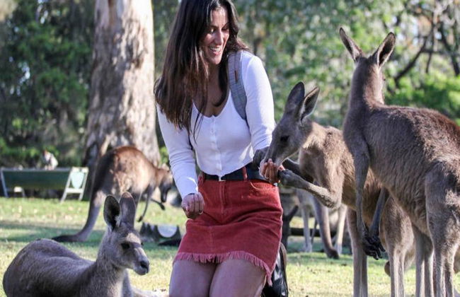 Santuario dei koala di Lone Pine - Foto 4
