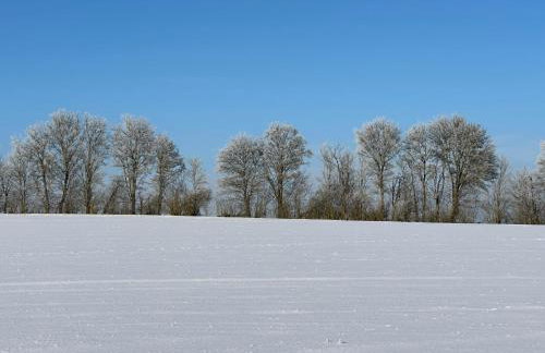 Etzauer Mühle im Taunus - Foto 13