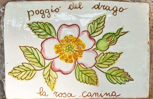 Agriturismo Poggio del Drago - Photo 2