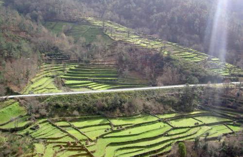 Casa da Avó - Foto 28