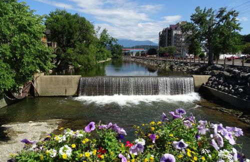 Smoky Bear Splash Top Rated Private Pool Cabin with Hot Tub, Mtn Views, Arcade Games, Excellent Location - Foto 59