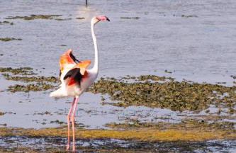 Casa Lo Pasteler - Foto 91