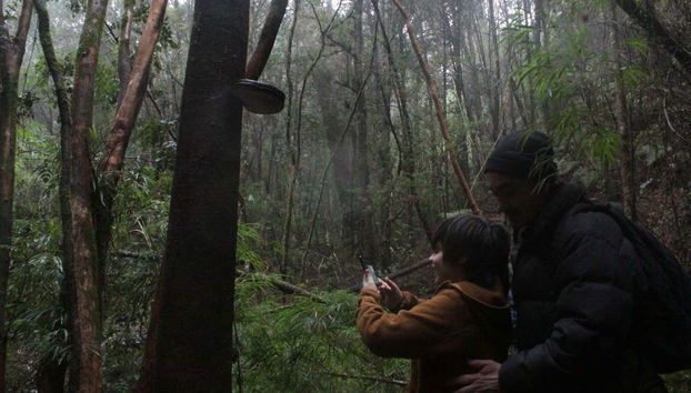 Conociendo la flora y fauna de esta región